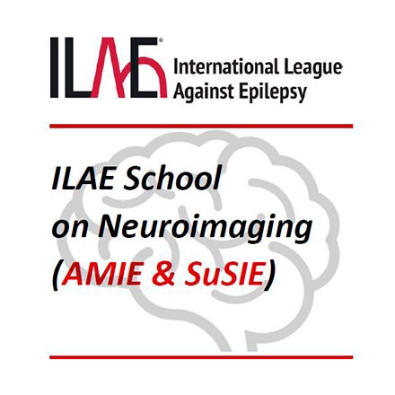 https://www.epilepsia.org.br/eventos/ilae-school-on-neuroimaging-amie-amp-susie/